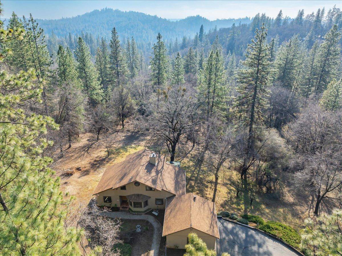 Grass Valley, CA 95949,20313 Ocelot