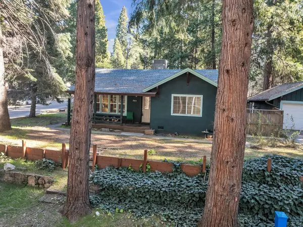 Pollock Pines, CA 95726,2877 Shadow LN