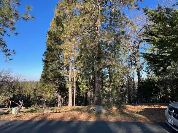 1238 Canyon Ridge CT, Murphys, CA 95247