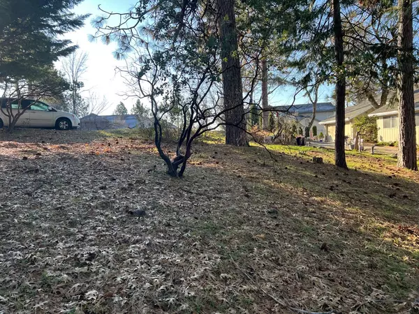 Murphys, CA 95247,1238 Canyon Ridge CT