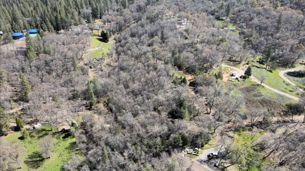 608 Smitty LN, West Point, CA 95255