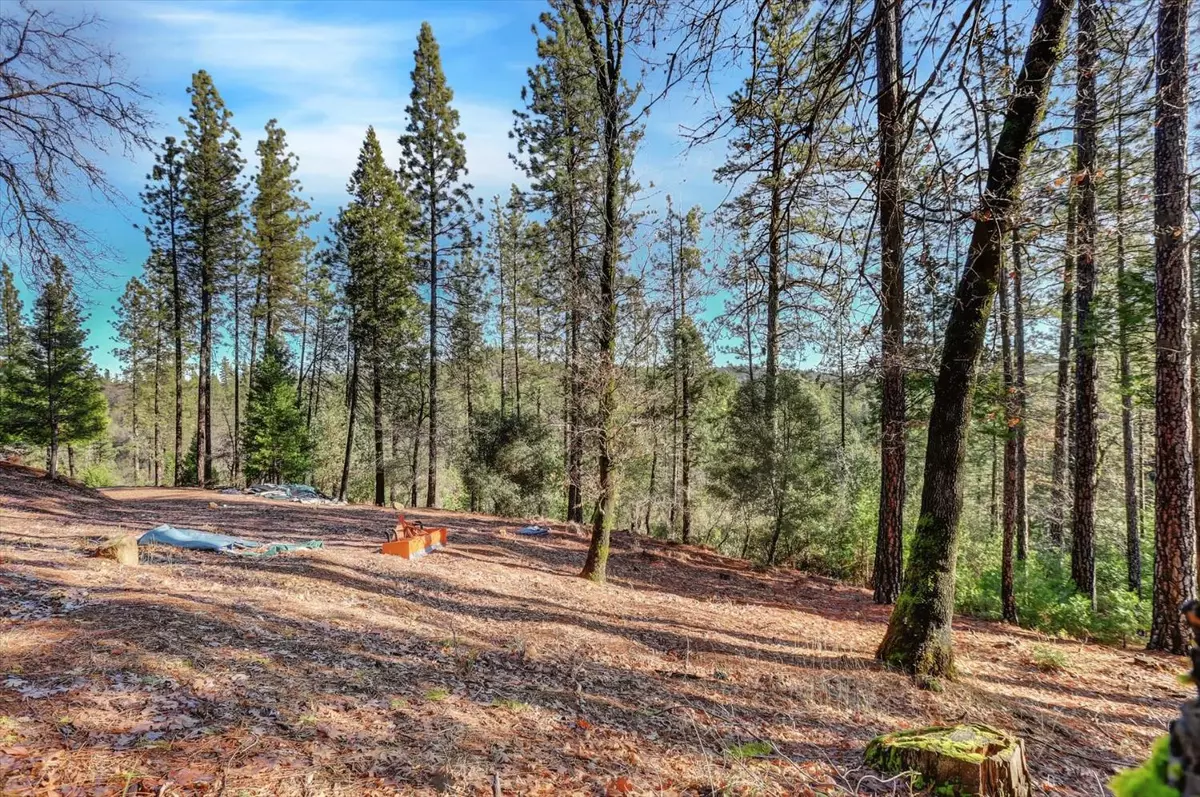 Nevada City, CA 95959,12776 Little Deer Creek LN