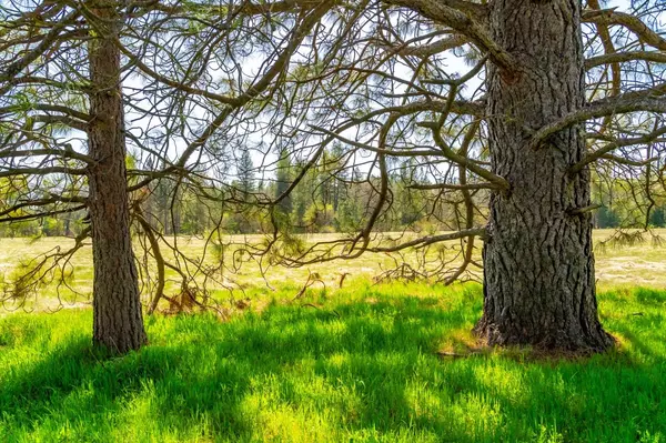 Coulterville, CA 95311,TBD Fiske RD