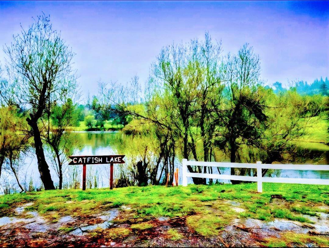 2732 Shilo DR, Placerville, CA 95667