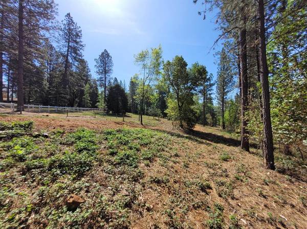 13560 Hopeful Hill RD, Nevada City, CA 95959