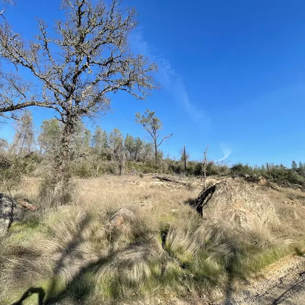 0 Deer Valley RD, Bangor, CA 95914