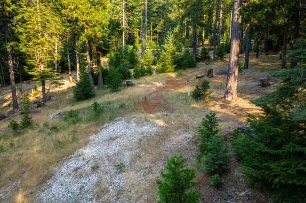 Nevada City, CA 95959,13518 Quaker Hill Cross RD