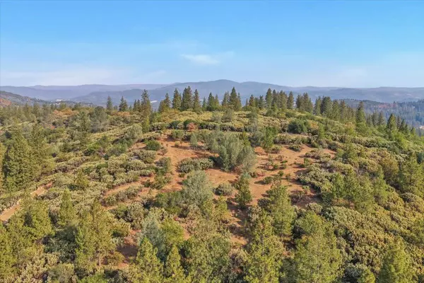 13641 Jeabjo WAY, Nevada City, CA 95959