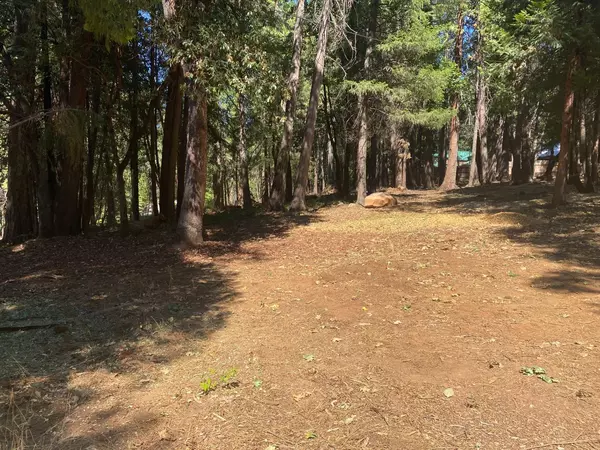 Nevada City, CA 95959,12468 Hill RD