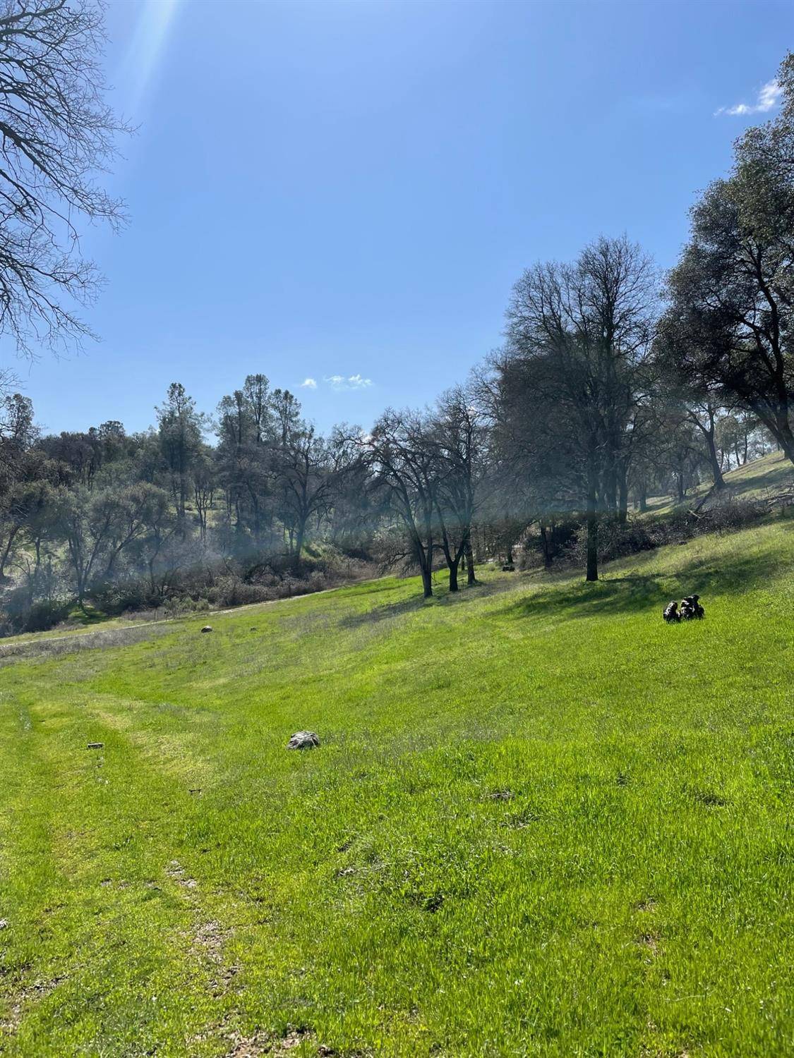 6715 Grass Valley HWY, Auburn, CA 95602