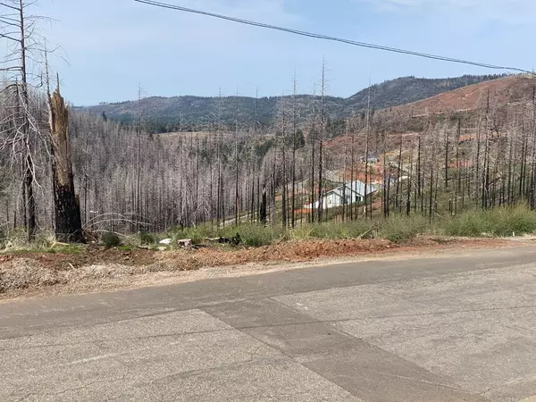 Grizzly Flats, CA 95636,5070 Rollingwood DR