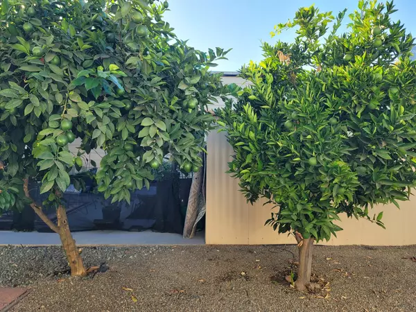 Lodi, CA 95240,216 San Juan DR