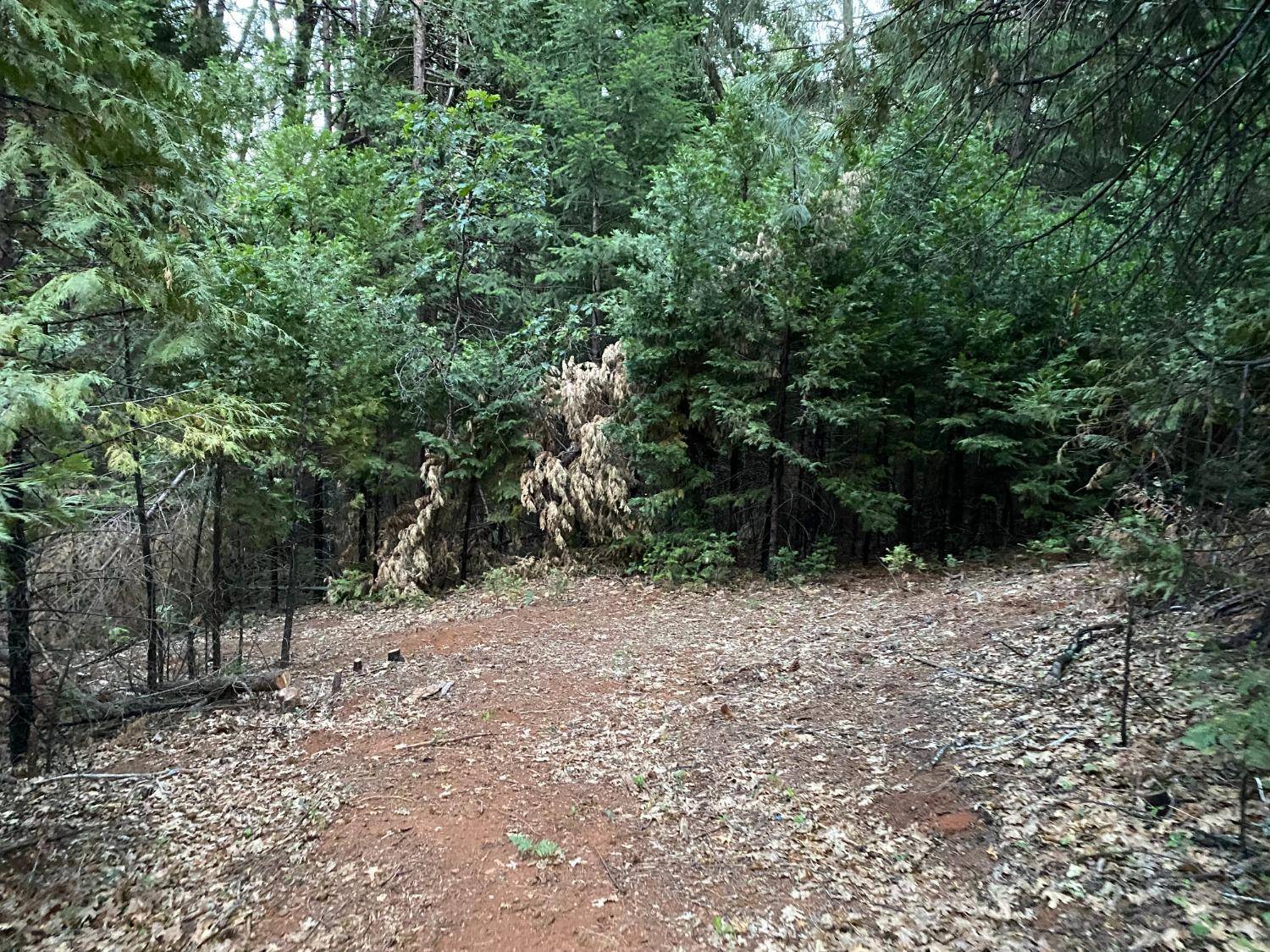 Grass Valley, CA 95945,13100 Trio CT