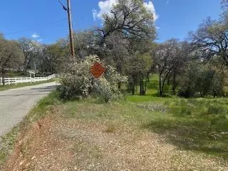Grass Valley, CA 95949,10324 Karen DR