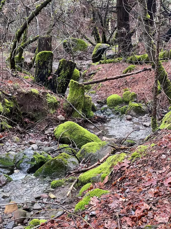 Camino, CA 95709,0 8 Mile RD