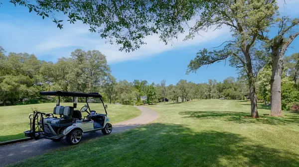 Auburn, CA 95602,12431 Torrey Pines DR