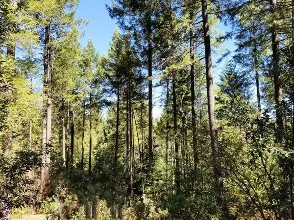 Georgetown, CA 95634,46 Ringtail RD
