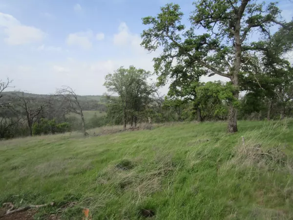 Grass Valley, CA 95949,22460 Ladan LN