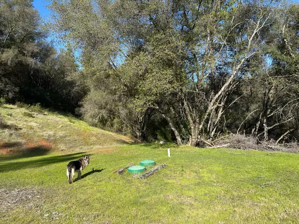 Sutter Creek, CA 95685,16101 Meadow Lark LN