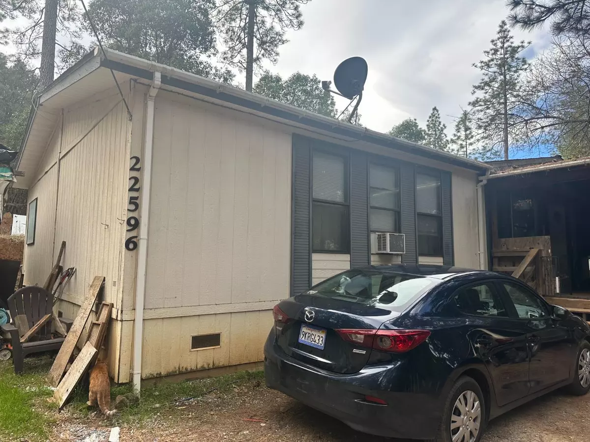 Pioneer, CA 95666,22596 Alaire LN