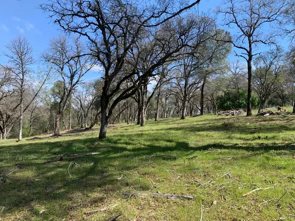 Rescue, CA 95672,Ac Jurgens RD