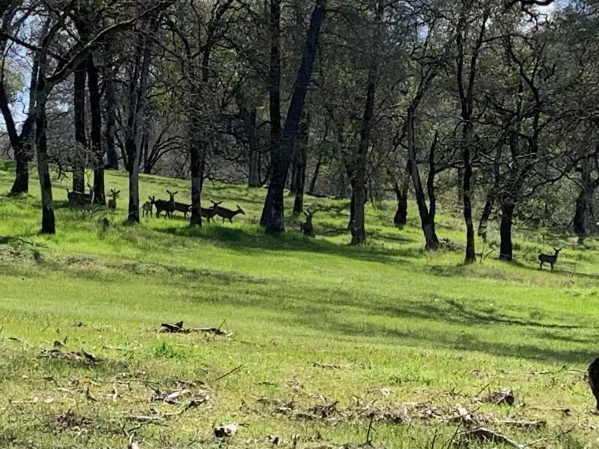 Rescue, CA 95672,Ac Jurgens RD