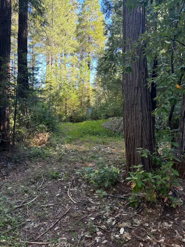 Challenge, CA 95925,17241 Balboa TRL