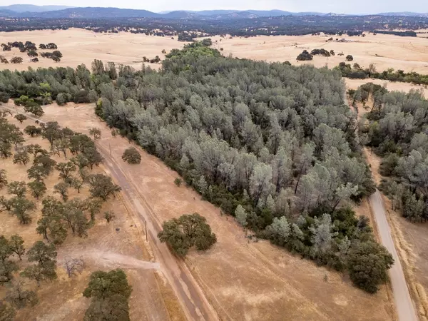 Palermo, CA 95968,100 Blanco RD
