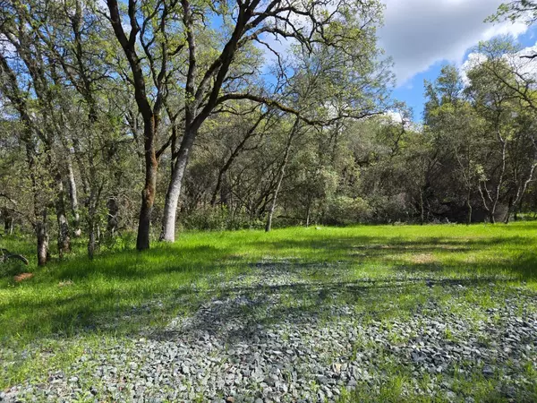 0 Therese TRL, Browns Valley, CA 95918