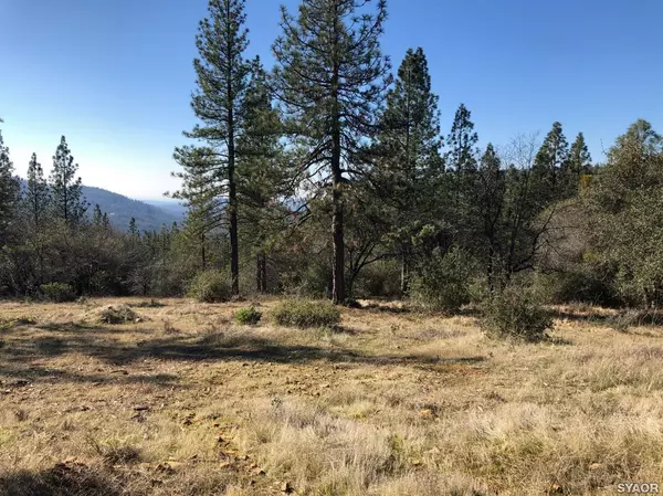 Brownsville, CA 95919,0 Double Eagle way