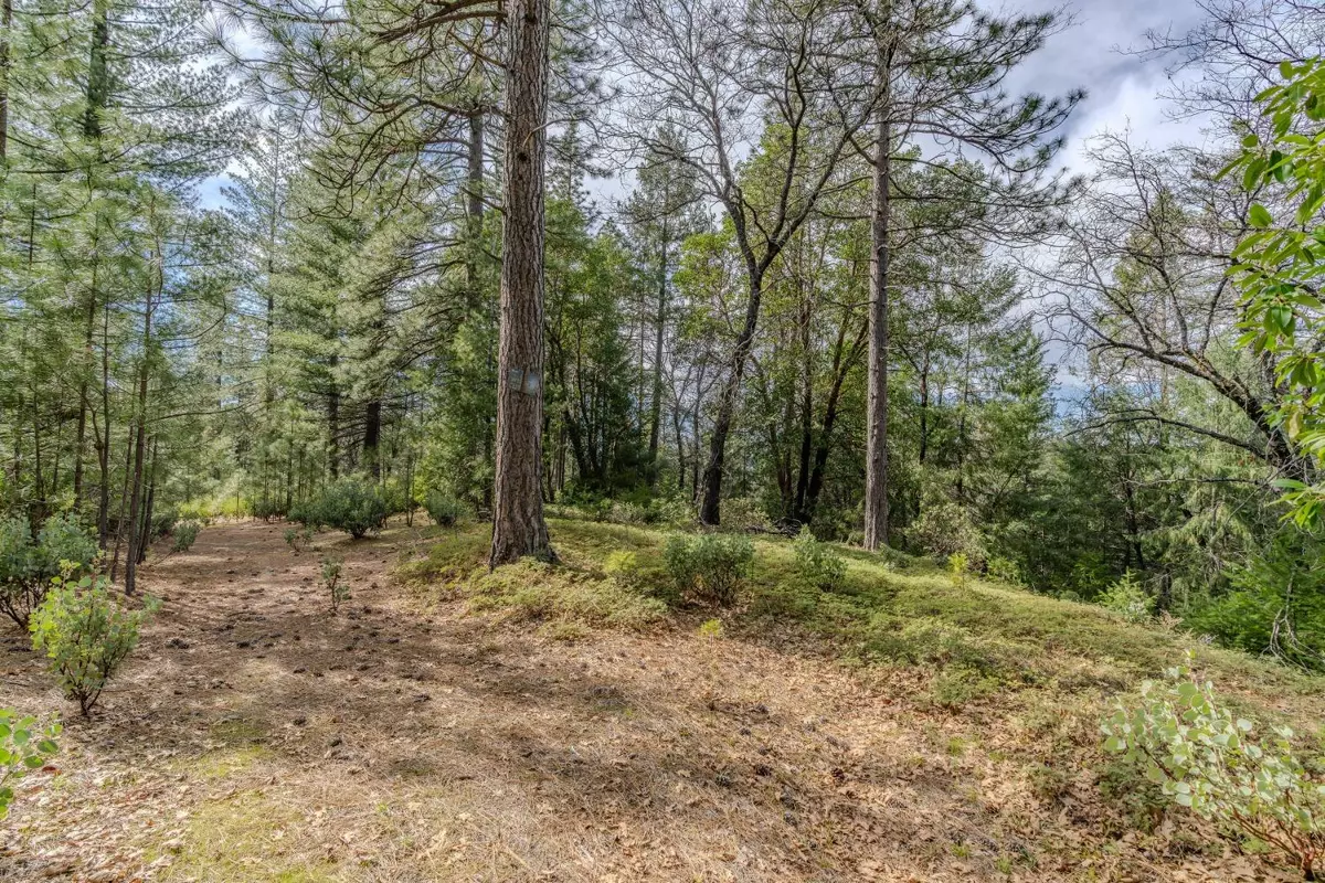Pioneer, CA 95666,0 Volcano Trail