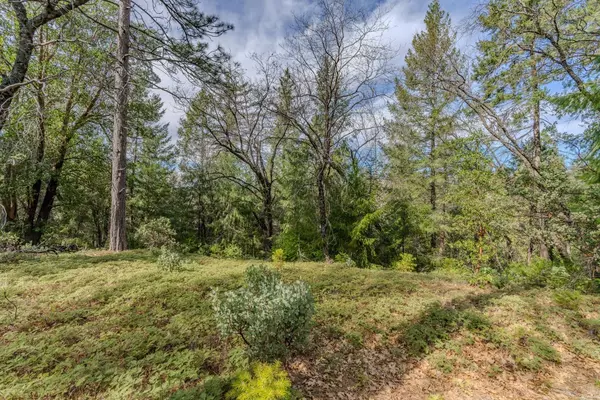 Pioneer, CA 95666,0 Volcano Trail