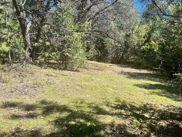 0 Allan Rd, Volcano, CA 95689