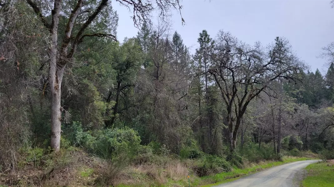3291 Stage Trail RD, Greenwood, CA 95635