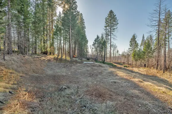 Grizzly Flats, CA 95636,4684 Sciaroni RD