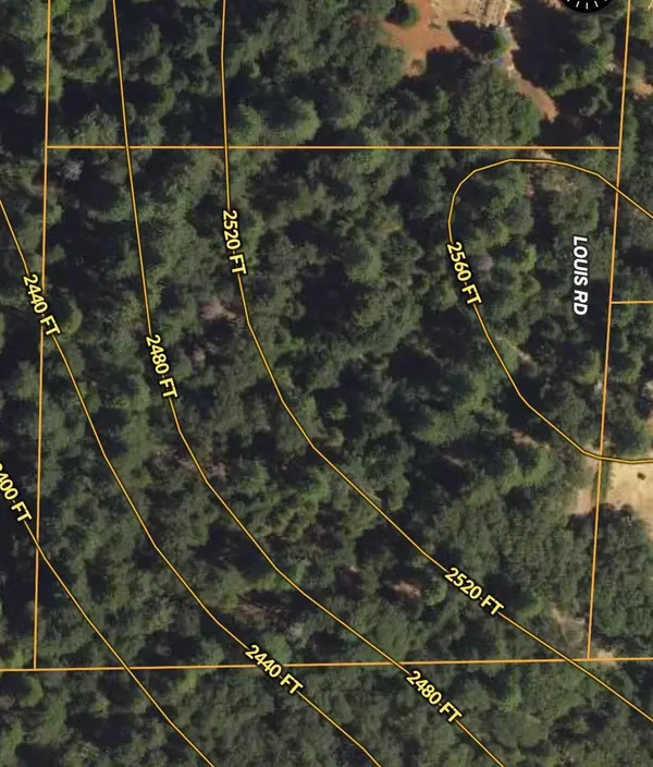 Grass Valley, CA 95945,19344 Louis RD