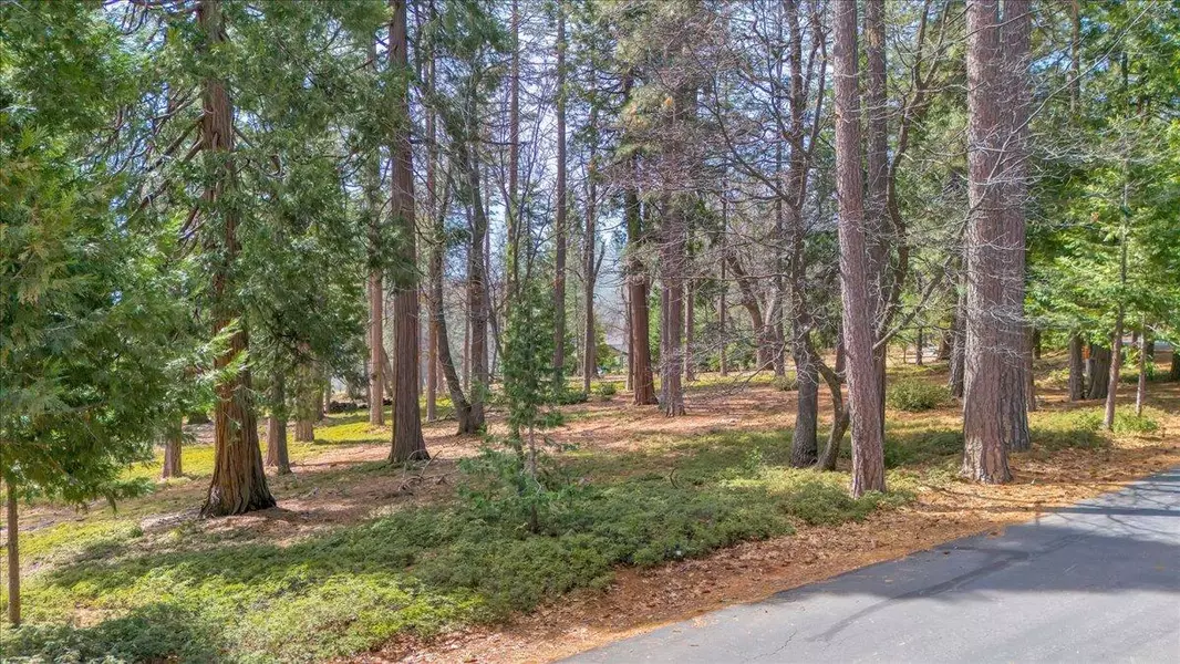 5556 Wylderidge DR, Murphys, CA 95247