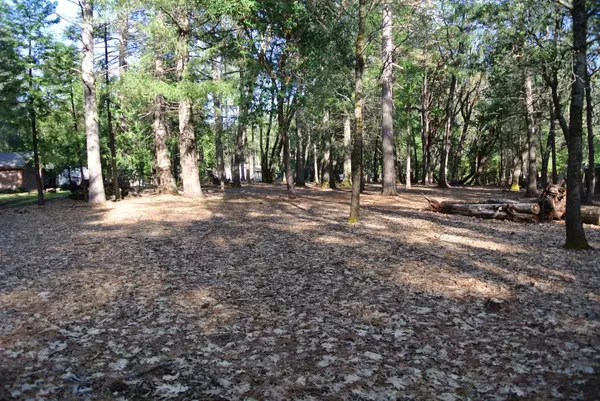 Foresthill, CA 95631,5421 Nash CT