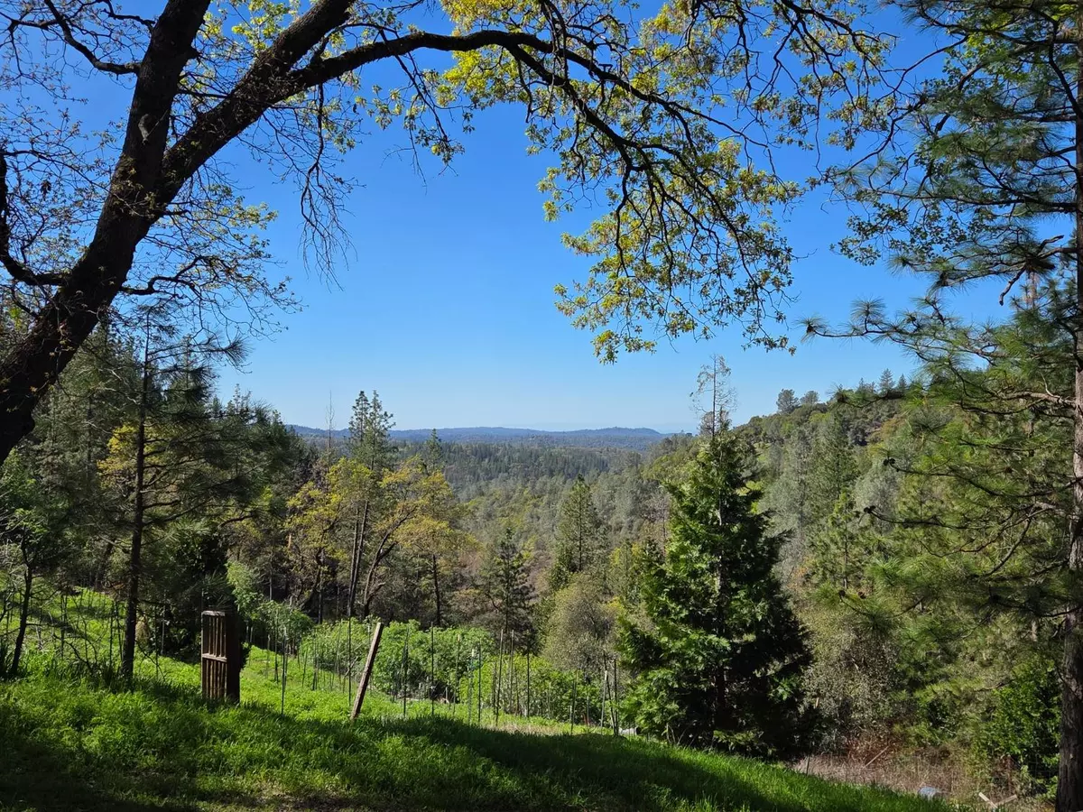 Grass Valley, CA 95949,19445 Archer RD