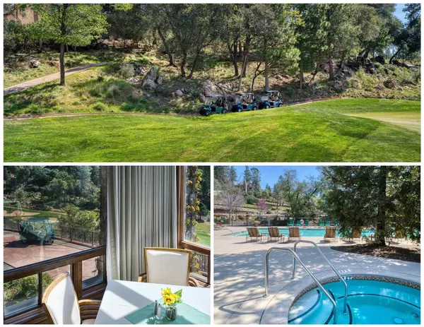 Meadow Vista, CA 95722,15120 Woodvale LN