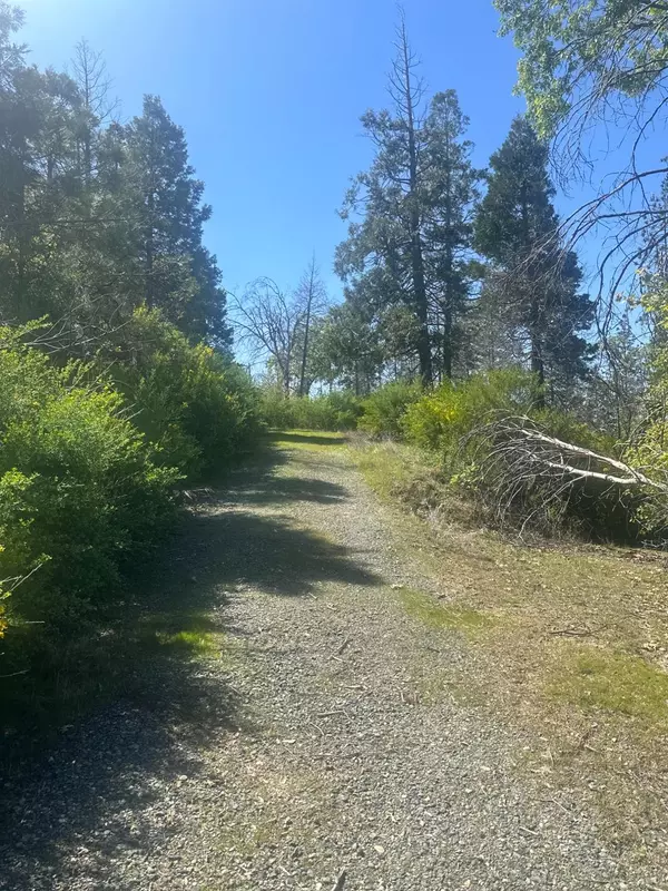 Oroville, CA 95966,337 Rocky Point
