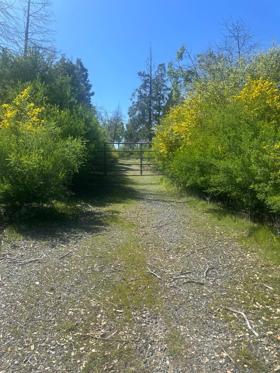 Oroville, CA 95966,337 Rocky Point