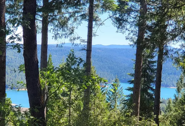 Nevada City, CA 95959,14164 Quaker Hill Cross RD