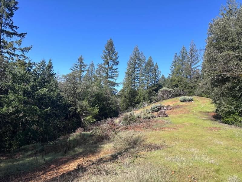 0 Norton-Grade RD, Colfax, CA 95713