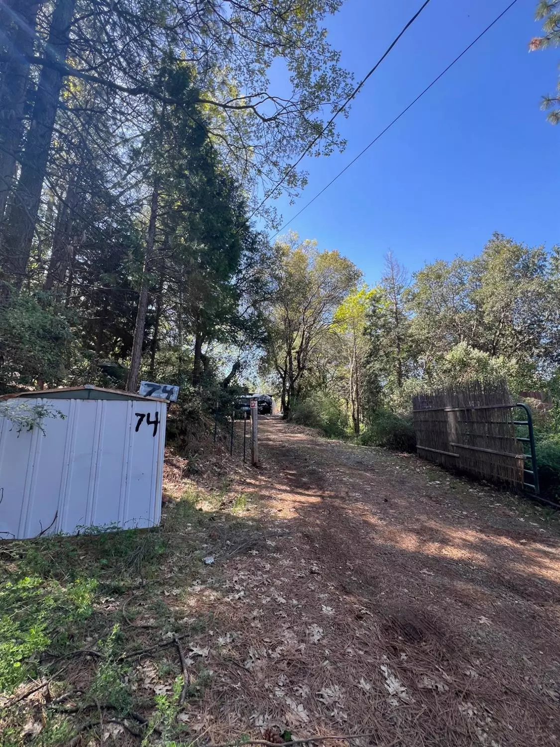 Oroville, CA 95966,74 Bandit LN