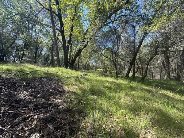 Grass Valley, CA 95949,21788 Knolls DR