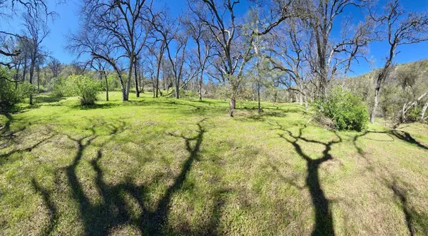Mariposa, CA 95338,0 Guadalupe Creek RD