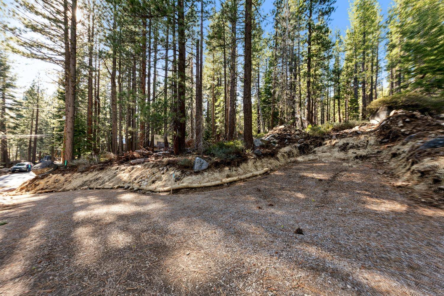 Soda Springs, CA 95728,50890 Manzanita TER