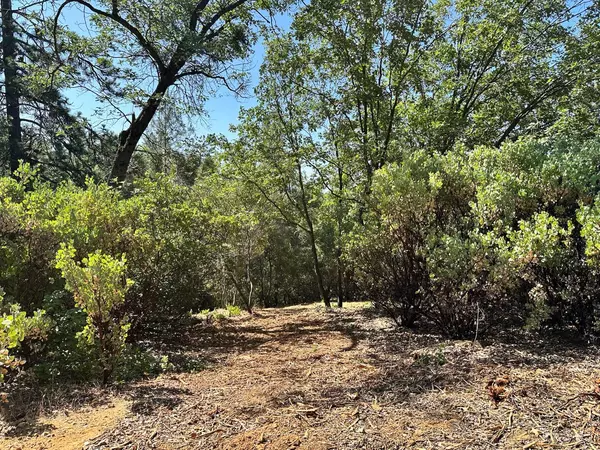 Meadow Vista, CA 95722,Lot 386 E Summit View DR