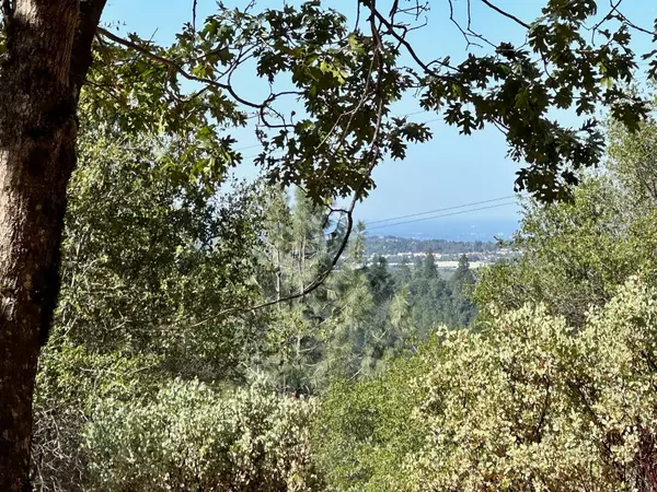 Meadow Vista, CA 95722,Lot 386 E Summit View DR